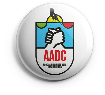 pin_aadc_v01 copia AADC