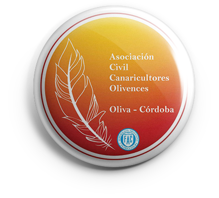 pin_acco_v01 copia ACCO