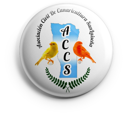 pin_accs_v01 copia ACCS