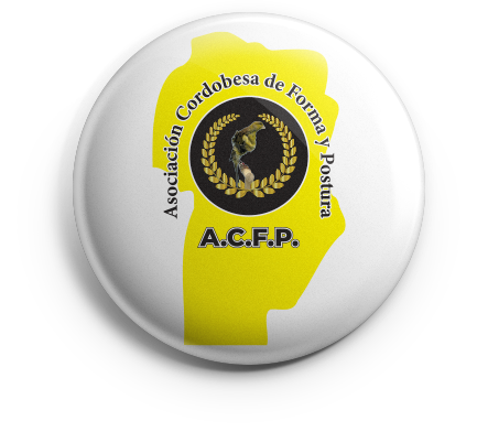 pin_acfp_v01 copia ACFP