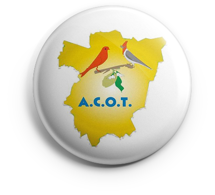 pin_acot_v01 copia ACOT
