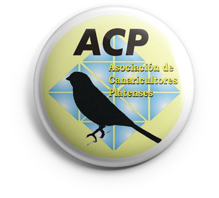 pin_acp_v01 copia ACP