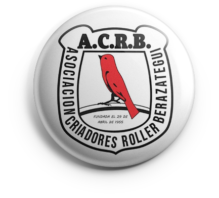 pin_acrb_v01 copia ACRB