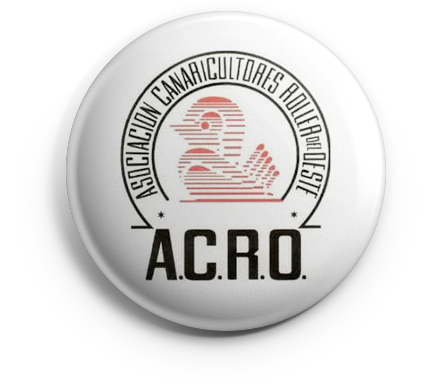 pin_acro_v01 copia ACRO