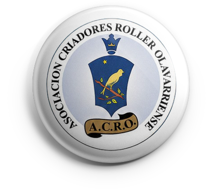 pin_acrol_v01 copia ACROL
