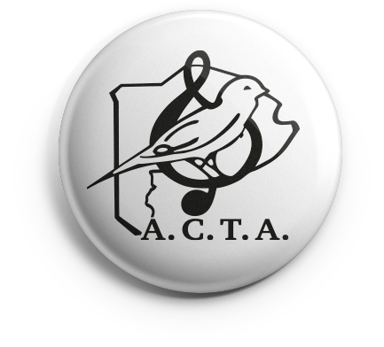 pin_acta_v01 copia ACTA