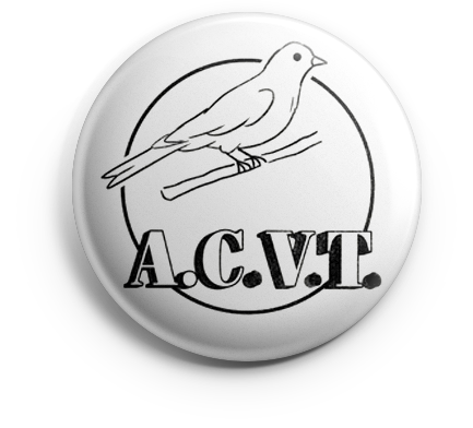 pin_acvt_v01 copia ACVT