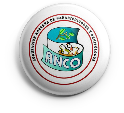 pin_anco_v01 copia ANCO