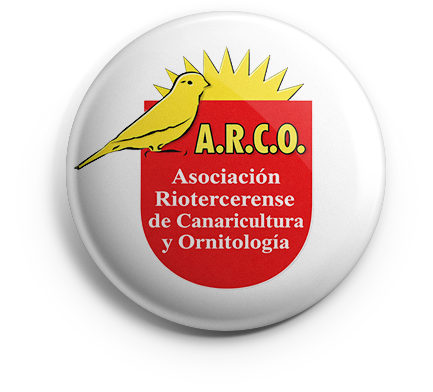 pin_arco_v01 copia ARCO