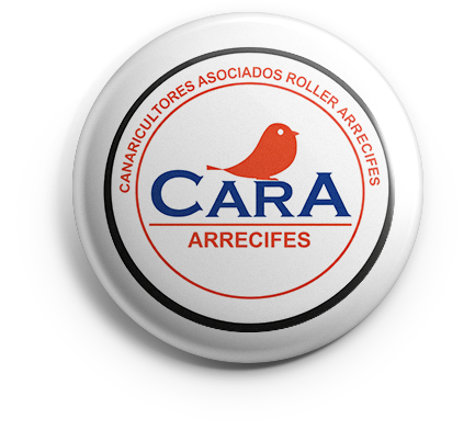 pin_cara_v01 copia CARA