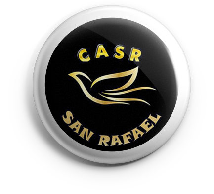 pin_casr_v01 copia CASR