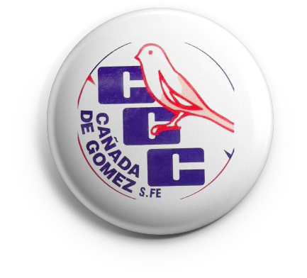 pin_ccc_v01 copia CCC