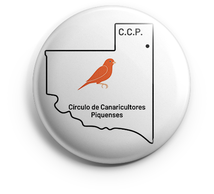 pin_ccp_v01 copia CCP