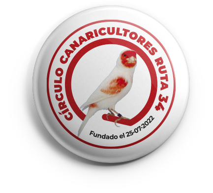 pin_ccr34_v01 copia CCR34