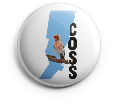 pin_coss_v01 copia COSS