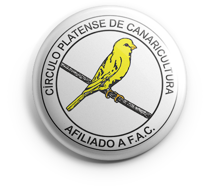 pin_cpc_v01 copia CPC