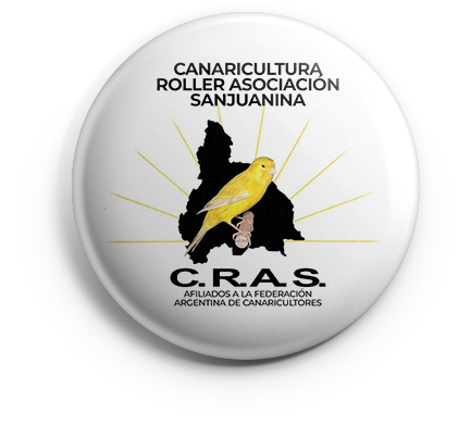 pin_cras_v01 copia CAS