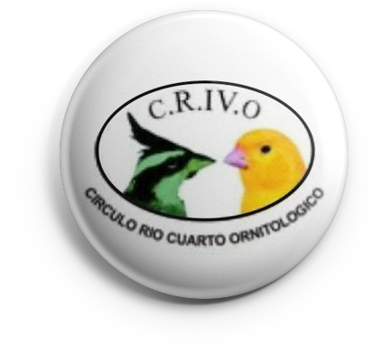 pin_crivo_v01 copia CRIVO