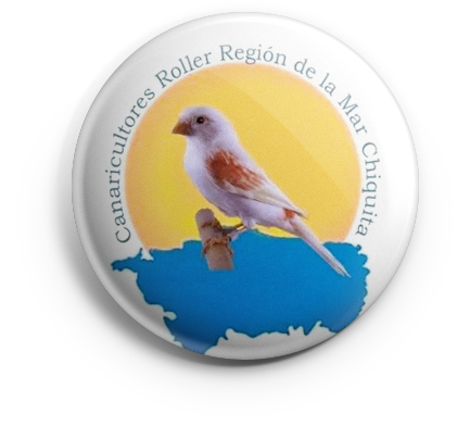 pin_crrmc_v01 copia CRRMC