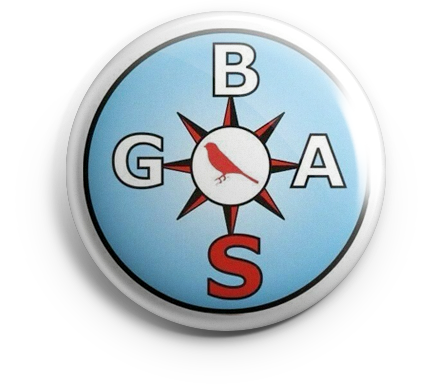 pin_gbas_v01 copia GBAS