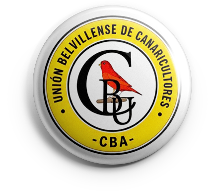 pin_ubc_v01 copia UBC