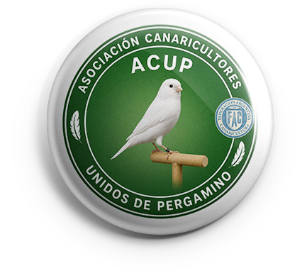 pin_acup_v01 ACUP